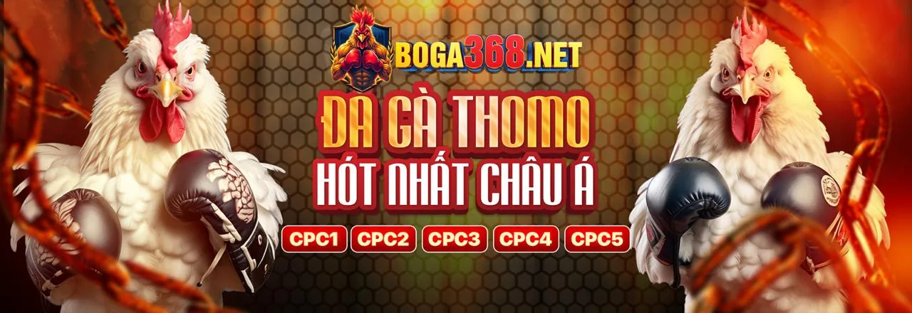 Đá Gà Trực Tuyến Hấp Dẫn tại cwin32 đăng ký